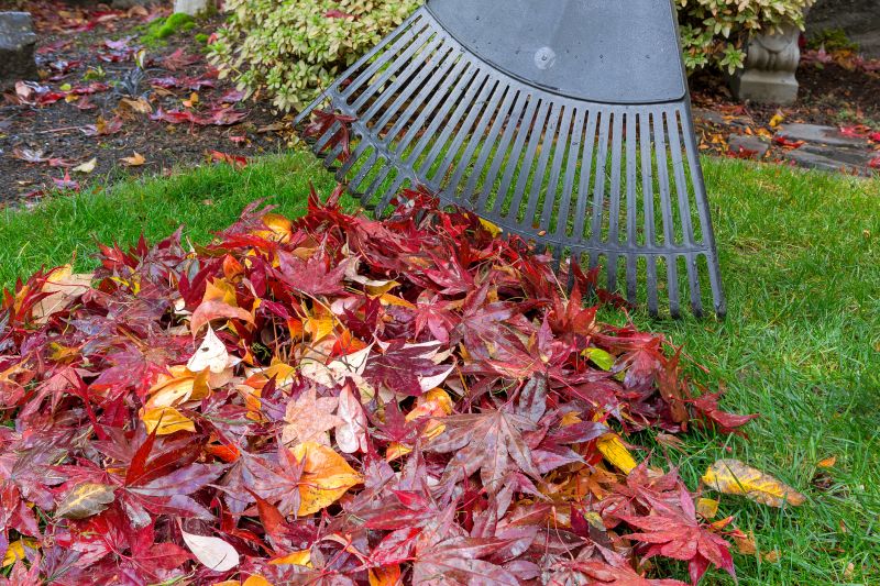 Autumn Yard Maintenance Tools