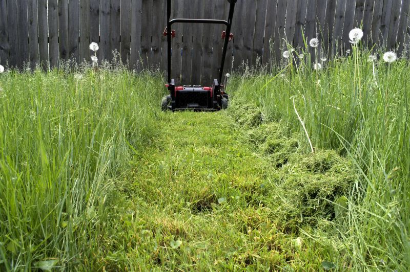 Grass Mowing detail