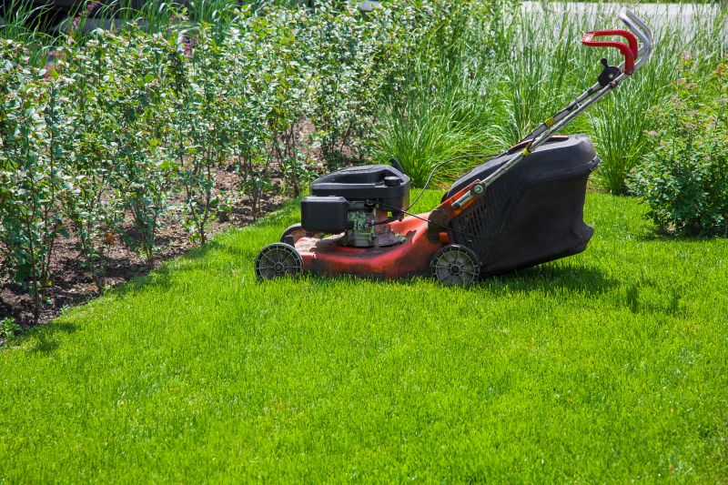 Healthy Lawn Growth