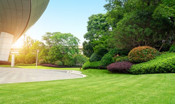 Cost of Commercial Lawn Mowing in Bowling Green