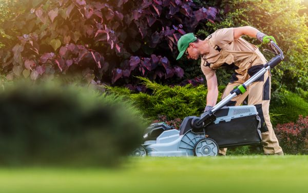 Cost of Lawn Care And Maintenance in Bowling Green