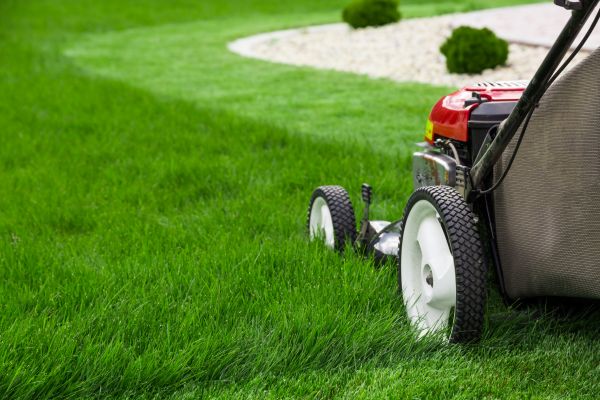 Cost of Lawn Cutting Service in Bowling Green