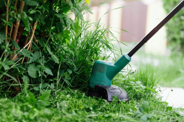 Cost of Weed Whacking in Bowling Green
