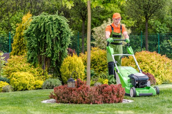 Cost of Yard Service in Bowling Green