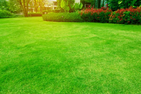 Cost of Grass Maintenance in Bowling Green