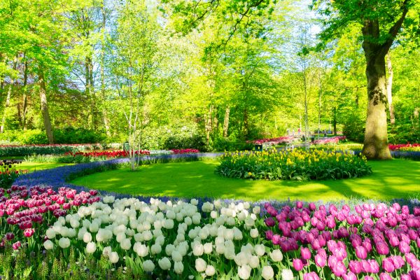 Cost of Spring Lawn Care in Bowling Green