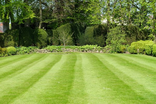 Cost of Grass Care Service in Bowling Green