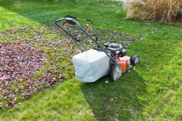 Cost of Seasonal Lawn Care in Bowling Green