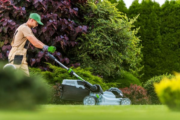 Cost of Lawn Management in Bowling Green