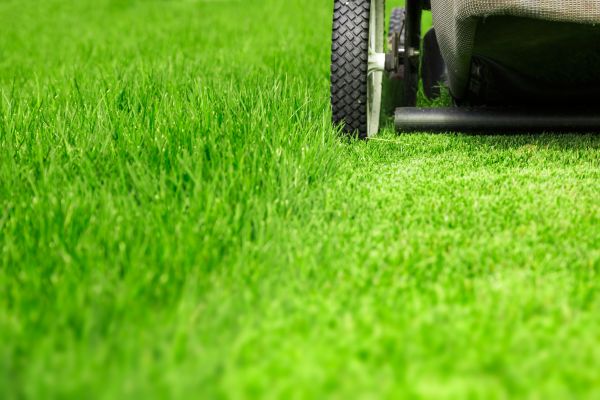 Cost of Weekly Lawn Care in Bowling Green