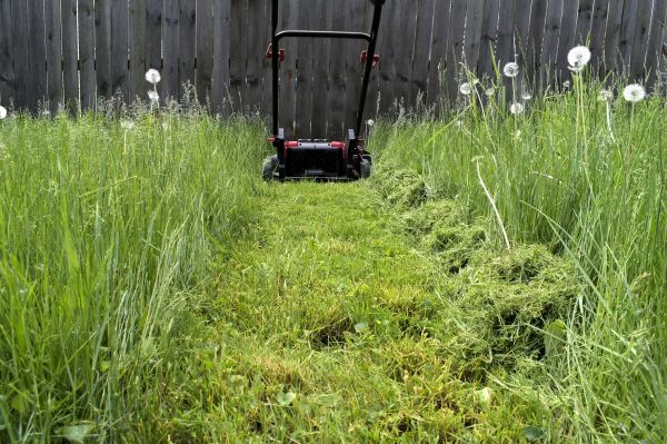 Cost of High Grass Mowing in Bowling Green