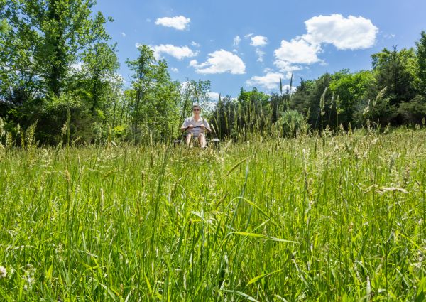 Cost of Long Grass Mowing in Bowling Green