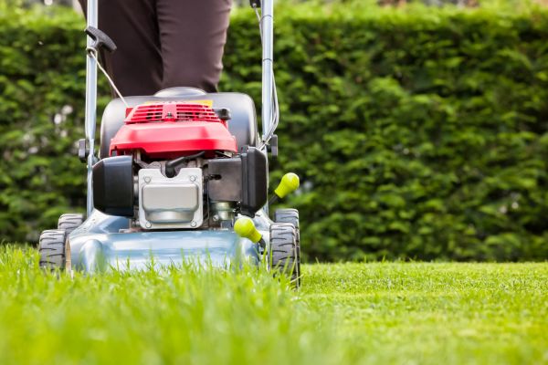 Cost of Grass Trimming Service in Bowling Green