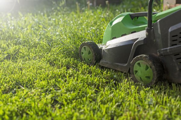 Cost of Lot Mowing in Bowling Green