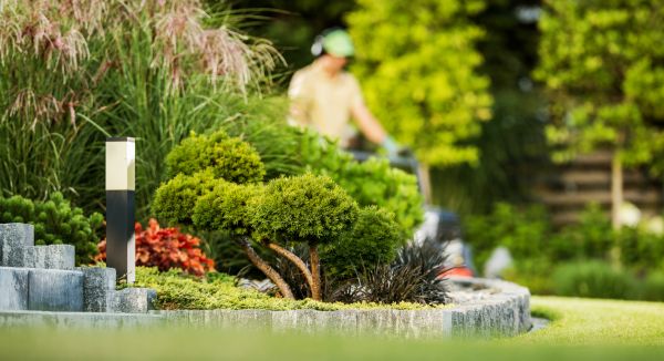 Cost of Residential Yard Maintenance in Bowling Green