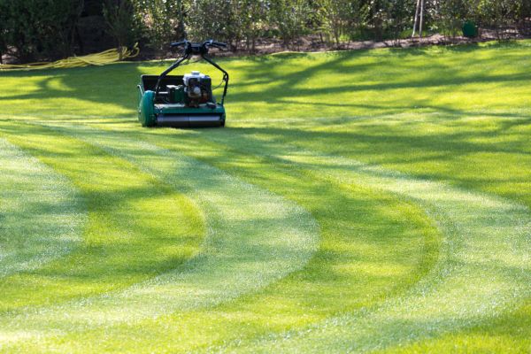 Cost of Business Lawn Mowing in Bowling Green
