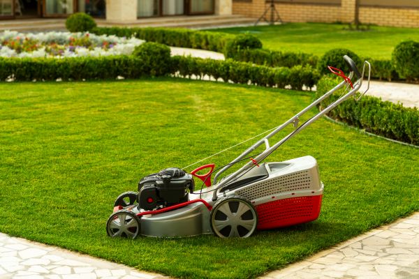 Cost of Business Grass Cutting in Bowling Green