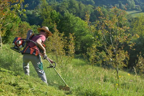 Cost of Slope Mowing in Bowling Green