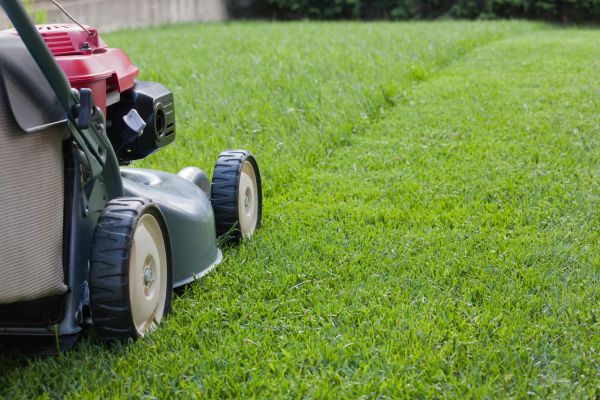 Cost of Spring Lawn Maintenance in Bowling Green