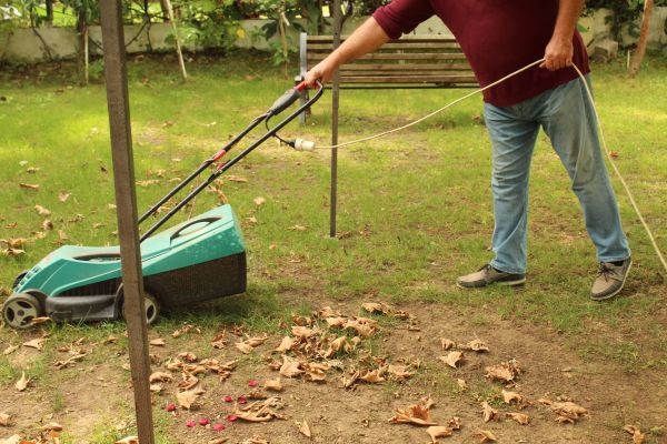 Cost of Leaves Mowing in Bowling Green