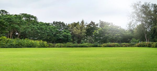 Cost of Golf Course Mowing in Bowling Green