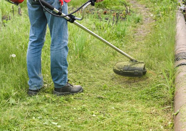 Cost of Tall Grass Trimming in Bowling Green